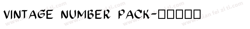 vintage number pack字体转换